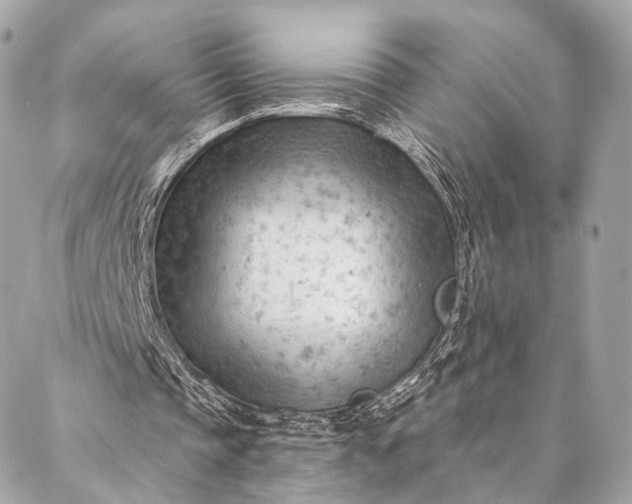 X0000087030337200704301345