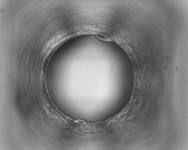 X0000087030338200704301345