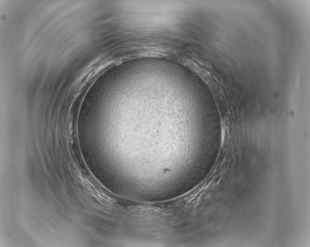 X0000087030339200704301345