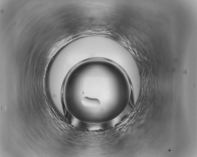 X0000087030340200704301345