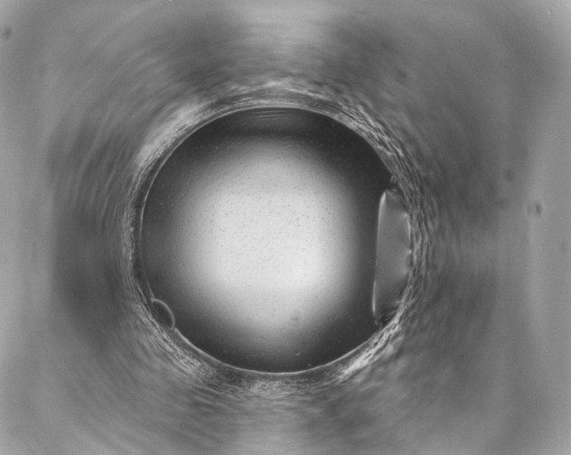 X0000087030341200704301345