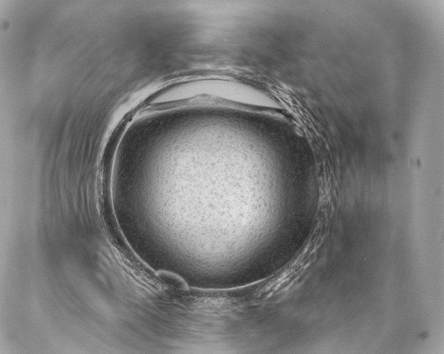 X0000087030342200704301345