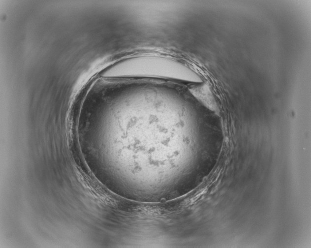 X0000087030343200704301345