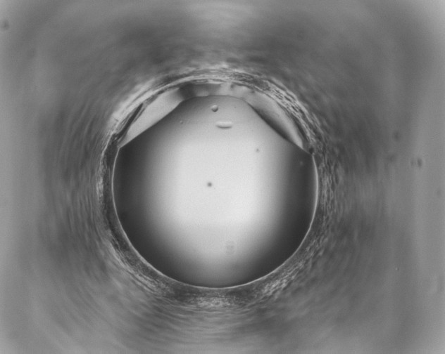 X0000087030344200704301345