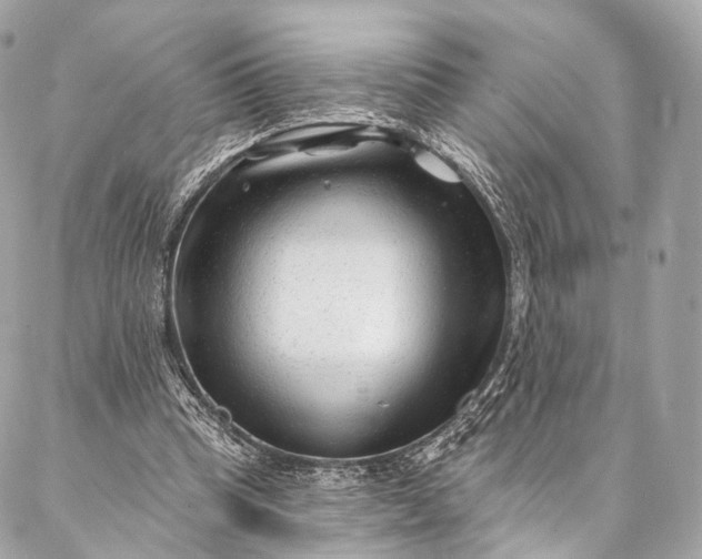 X0000087030345200704301345