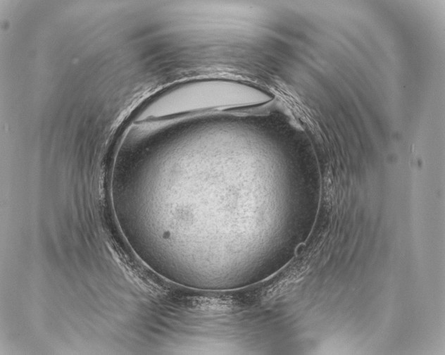 X0000087030347200704301345