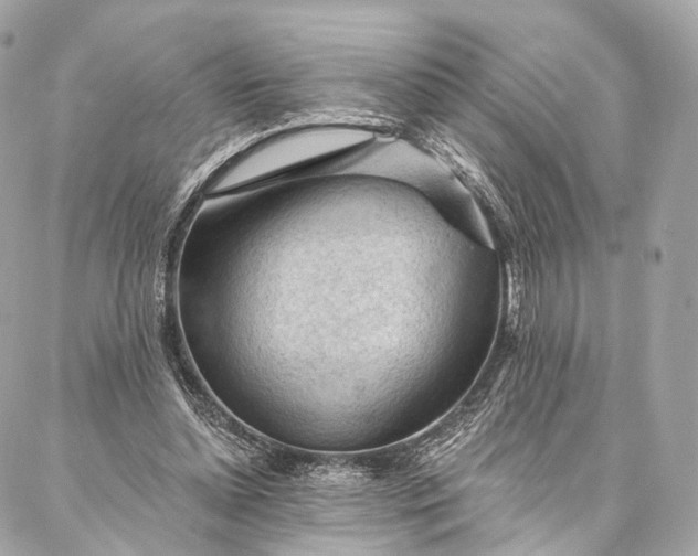 X0000087030348200704301345