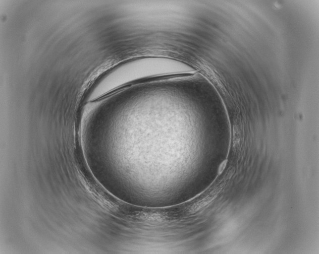 X0000087030349200704301345