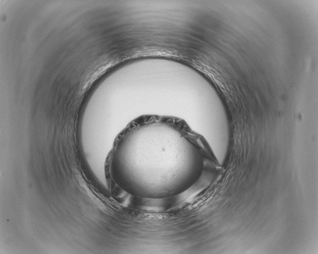 X0000087030352200704301345