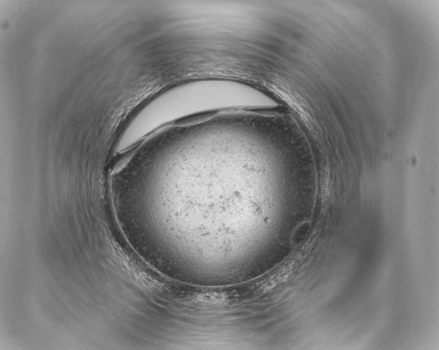 X0000087030353200704301345