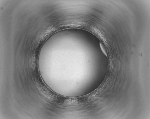 X0000087030354200704301345