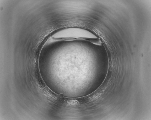 X0000087030355200704301345