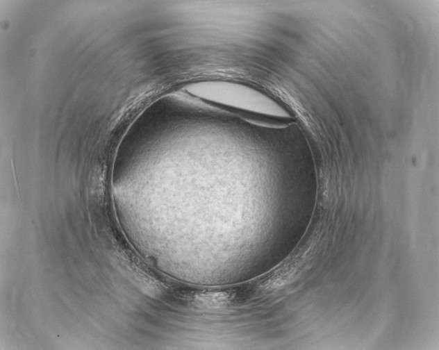 X0000087030357200704301345