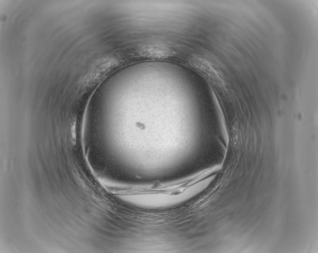 X0000087030358200704301345