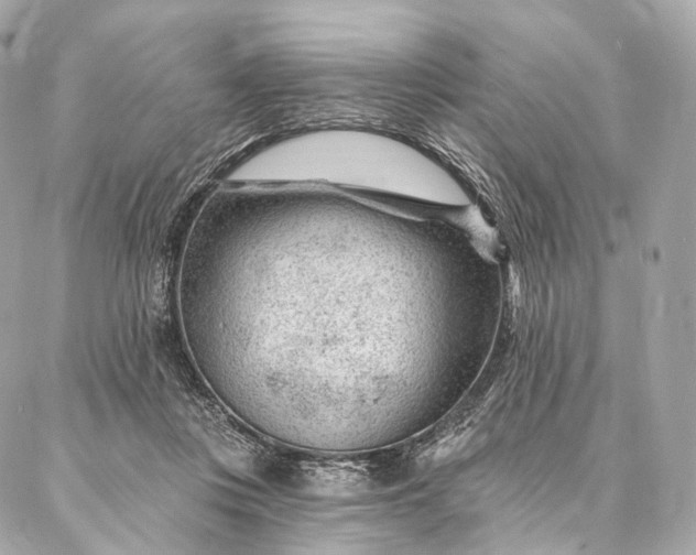 X0000087030359200704301345