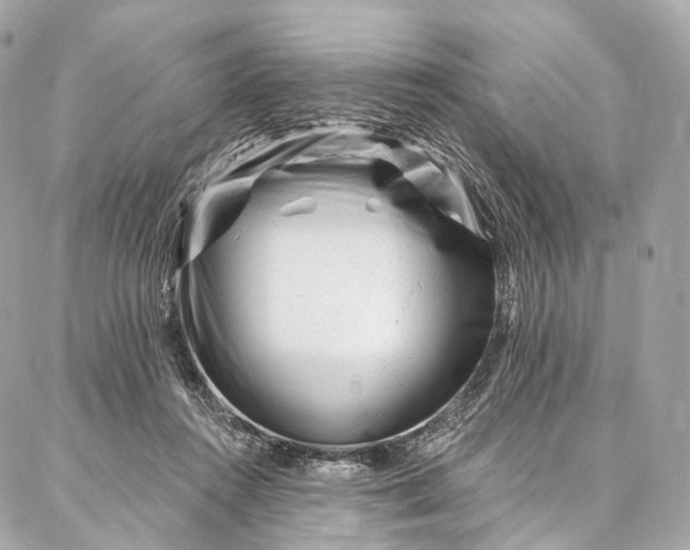 X0000087030360200704301345