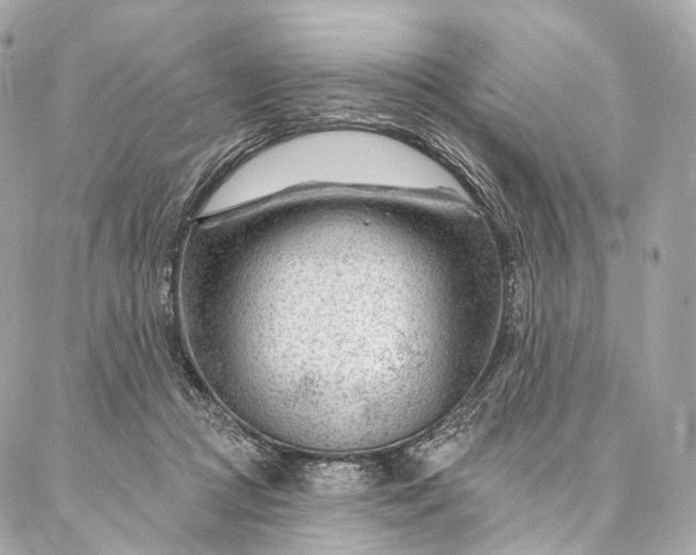 X0000087030361200704301345