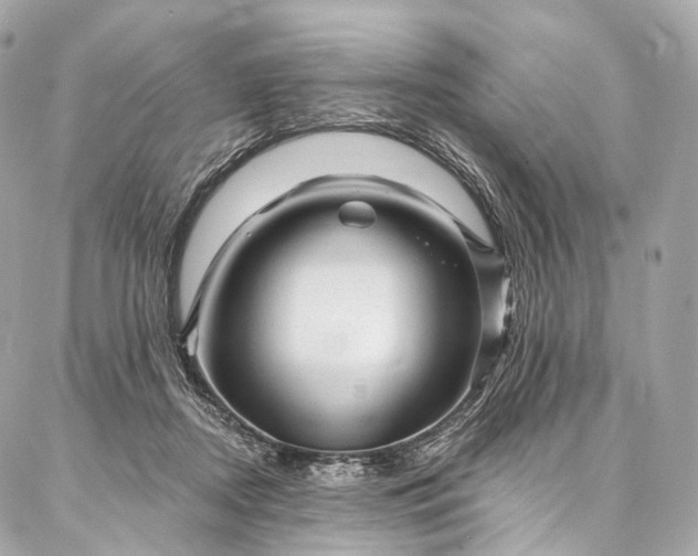 X0000087030362200704301345