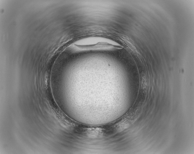 X0000087030363200704301345