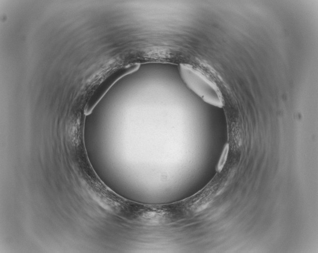 X0000087030364200704301345