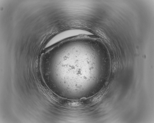 X0000087030365200704301345