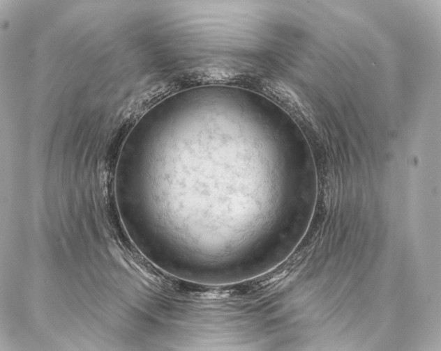 X0000087030366200704301345