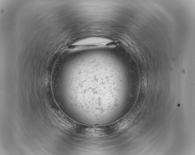 X0000087030367200704301345