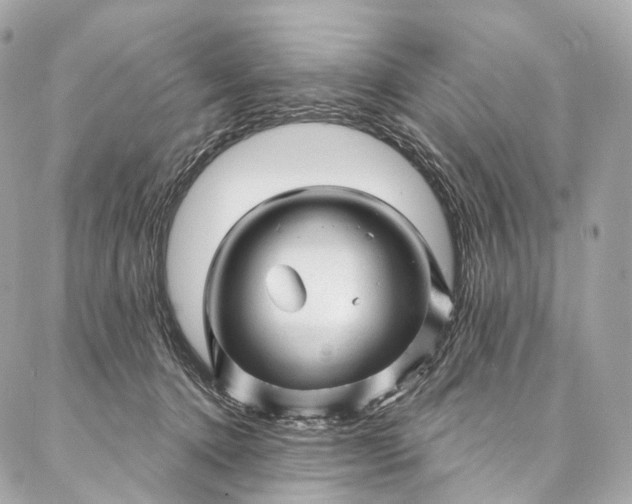 X0000087030368200704301345