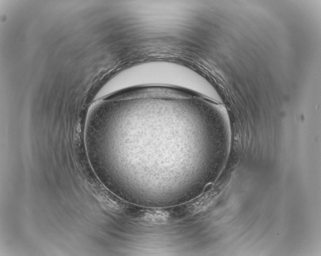 X0000087030369200704301345