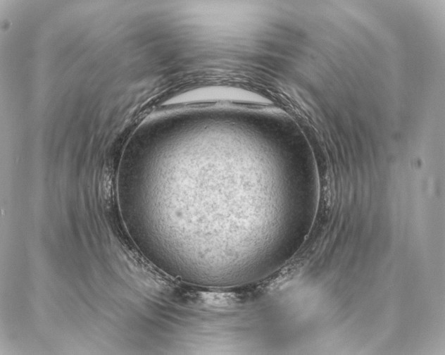 X0000087030371200704301345