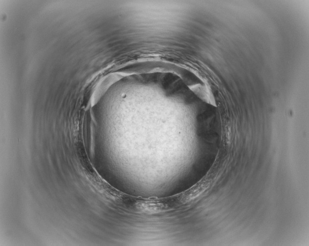 X0000087030372200704301345