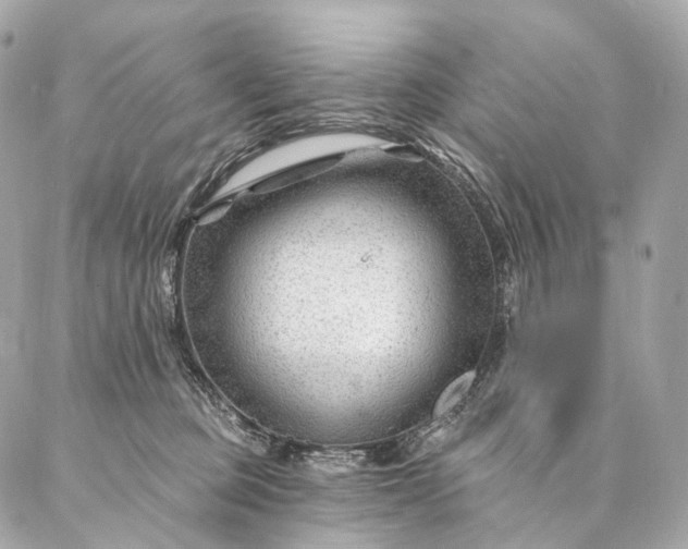 X0000087030373200704301345