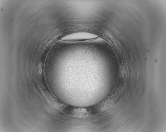 X0000087030374200704301345