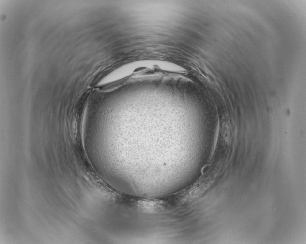 X0000087030375200704301345