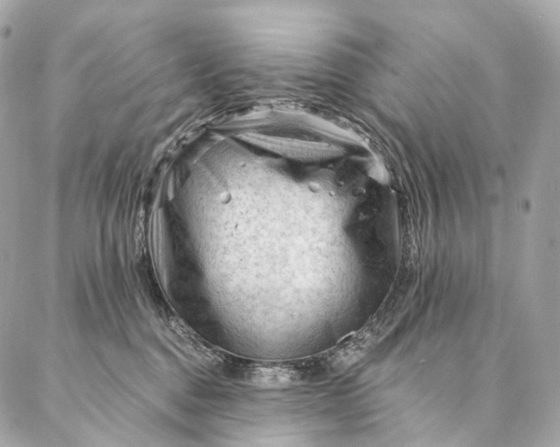 X0000087030376200704301345