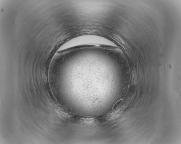 X0000087030377200704301345