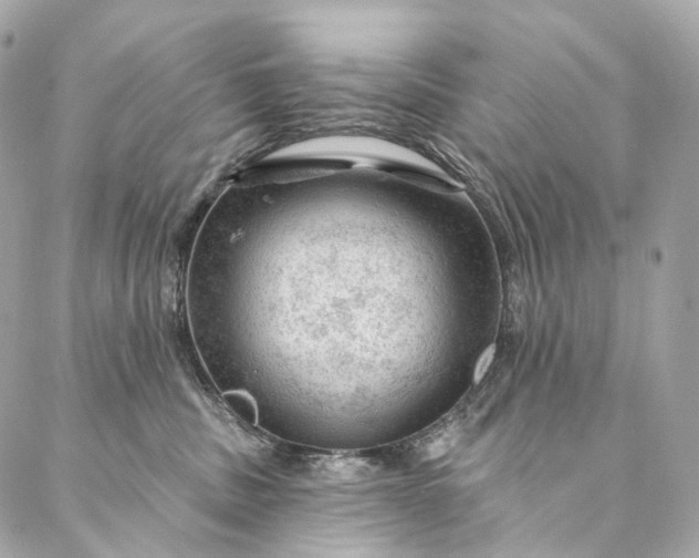 X0000087030379200704301345