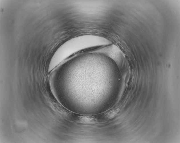 X0000087030380200704301345