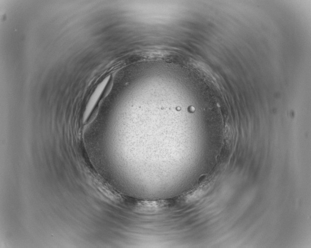 X0000087030381200704301345