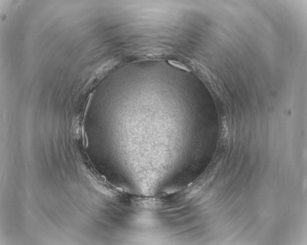 X0000087030383200704301345