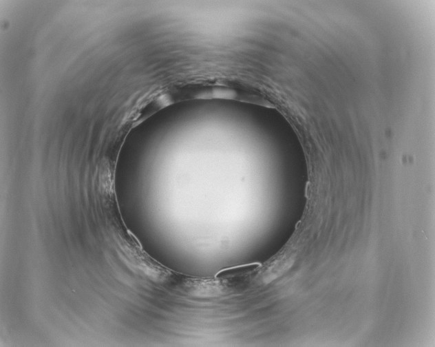 X0000087030384200704301345