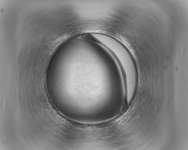 X0000087030385200704301345