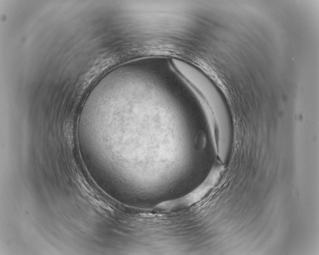 X0000087030386200704301345