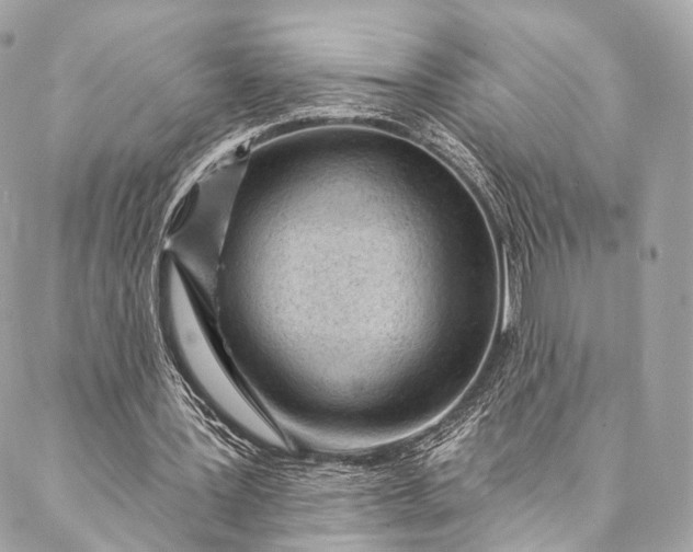 X0000087030387200704301345