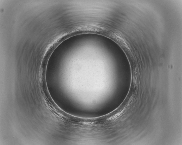 X0000087030388200704301344