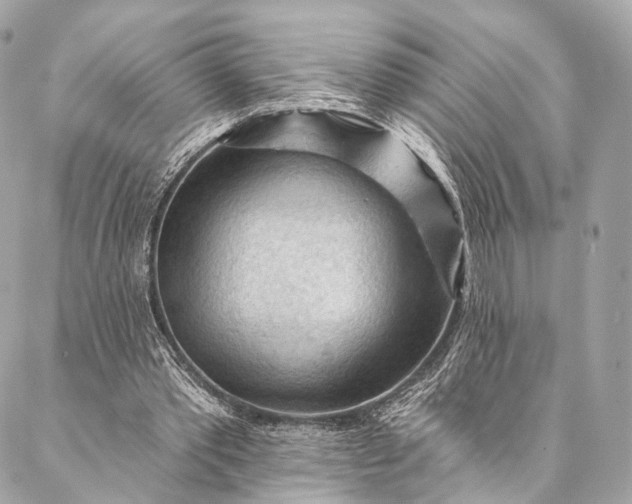 X0000087030389200704301344