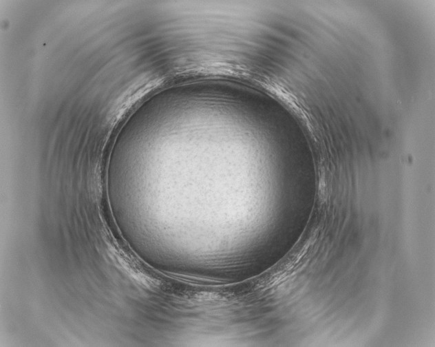 X0000087030390200704301344