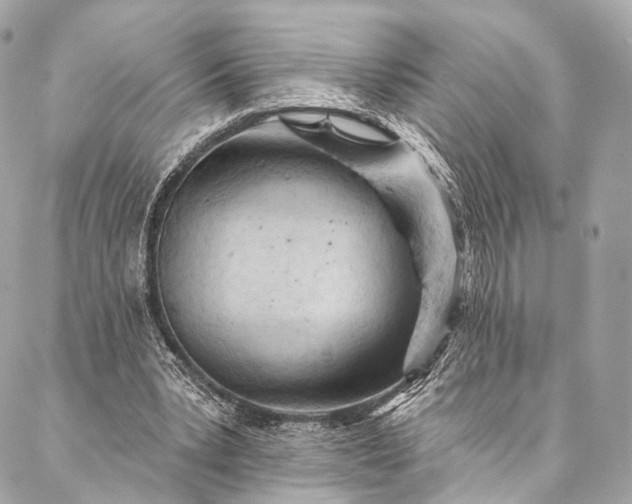 X0000087030391200704301344