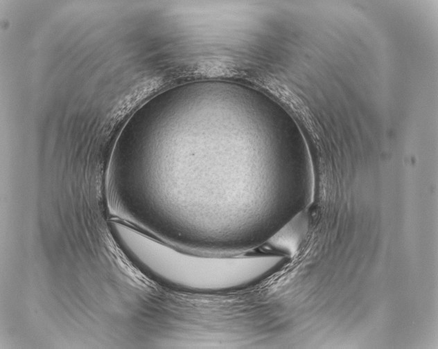 X0000087030393200704301344