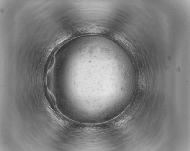 X0000087030394200704301344